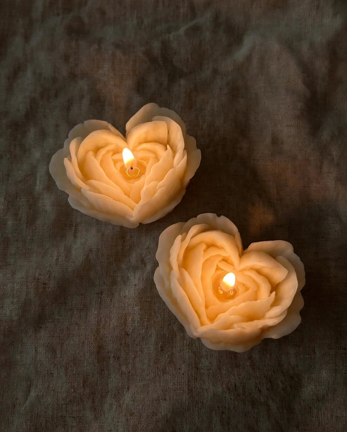 CUORE DI ROSA