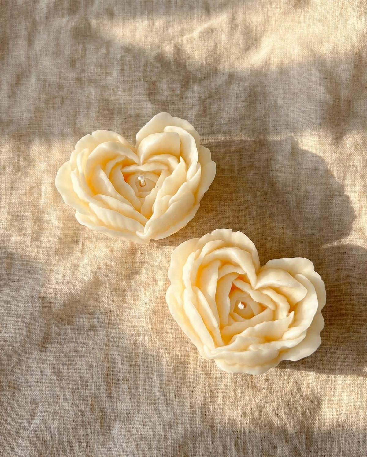 CUORE DI ROSA